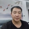无言的头像