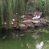 再见了k歌的头像