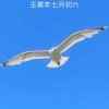 平安的头像