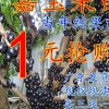 喜来乐的头像