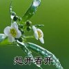 涵玫漂旭的头像