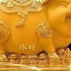 逍遥易大帅的头像