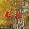 今生为～你醉的头像
