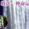 水乡八宝的头像