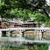 小草的头像
