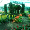 知音的头像