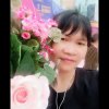 紫藤花的头像