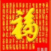 燕子yan@&zi%$的头像