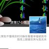 淚落び心殇的头像