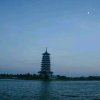 天涯陌路的头像