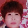 阿兰（暂退）的头像