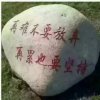 王哥的头像