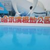 ♬致远♬的头像