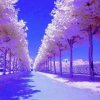 我心依旧的头像