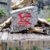 千言万语的头像