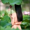 荷莲花香的头像