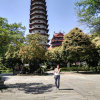 LXH的头像