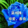 蓝玫瑰的头像