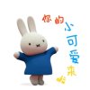 楞楞独爱尛寶呗的头像
