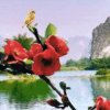 一帘幽梦的头像