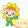 彩霞的头像