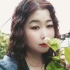 凤的头像
