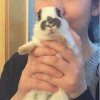 忆（退出）的头像