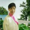 陈金凤的头像