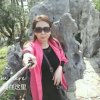 wei的头像