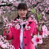 飘絮的头像