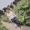 无名的头像