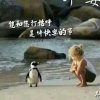 夫潇的头像