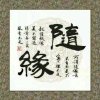 军哥的头像