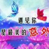 幸福人生的头像