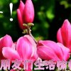 幸福每一天的头像