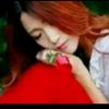 彩云暂退的头像