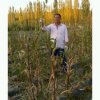 新疆沙漠的头像