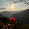 六.六的头像