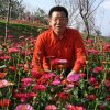 一片祥云的头像