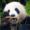 你是我的万千星辰的头像