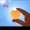 晨曦的心的头像
