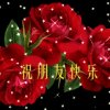 喜洋洋的头像