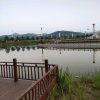 缘来是你的头像