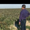 安全感的头像