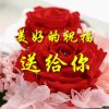缘分天空的头像