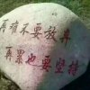 听风的头像