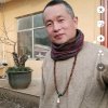 强哥的头像