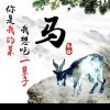 自信的头像
