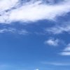 一片云的头像