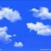 天上的云的头像